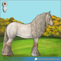 Horse Color:Liver Red Roan Varnish  and Chocolate Palomino Roan Dun 