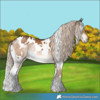 Horse Color:White Spotted Chocolate Palomino 