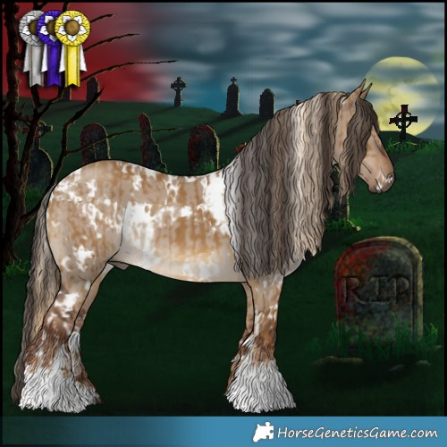 Horse Color:White Spotted Chocolate Palomino Dun  and White Spotted Liver Red Dun 