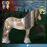 Horse Color:White Spotted Chocolate Palomino Dun  and White Spotted Liver Red Dun 