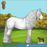 Horse Color:Gold Champagne Dun Tobiano Varnish Rabicano  and Gray Liver Chestnut Near Leopard 