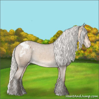 Horse Color:Silver Buckskin Appaloosa 