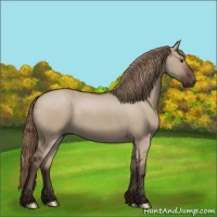 Horse Color:Liver Red Dun 