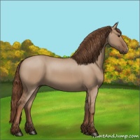 Horse Color:Red Dun 