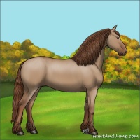 Horse Color:Red Dun 