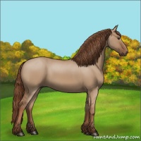 Horse Color:Red Dun 