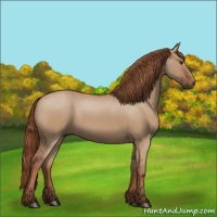 Horse Color:Red Dun 