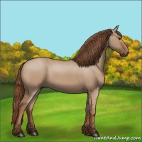 Horse Color:Red Dun 