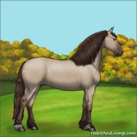 Horse Color:Liver Red Dun 