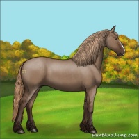 Horse Color:Liver Red Dun 