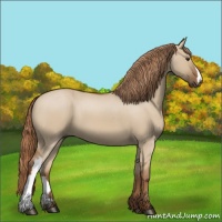Horse Color:Red Dun 