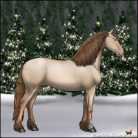 Horse Color:Liver Red Dun Pearl 
