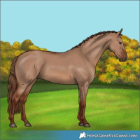 Horse Color:Red Dun