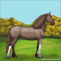 Horse Color:Liver Red Dun 