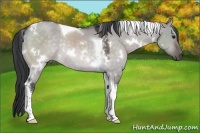 Horse Color:Platinum White Spotted Brown Dun Tobiano Rabicano 