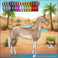 Horse Color:Gray White Spotted Liver Red Dun Pearl Mushroom Tobiano
