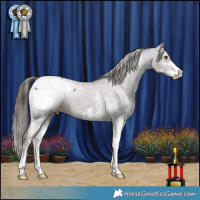 Horse Color:White Spotted Liver Chestnut Snowcap 