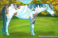 Horse Color:Thunderstruck White Spotted Bay Frame 