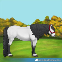 Horse Color:Bay Chinchilla 