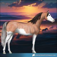 Horse Color:Bay Roan Splash Rabicano 