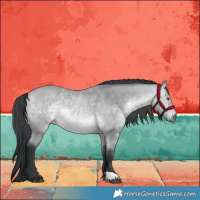 Horse Color:Bay Chinchilla