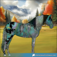 Horse Color:ERROR: UNKNOWN ANOMALY