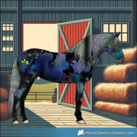 Horse Color:ERROR: UNKNOWN ANOMALY