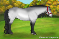 Horse Color:Brown Chinchilla 