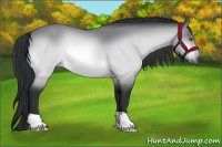 Horse Color:Brown Chinchilla 