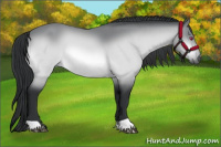 Horse Color:Brown Chinchilla 