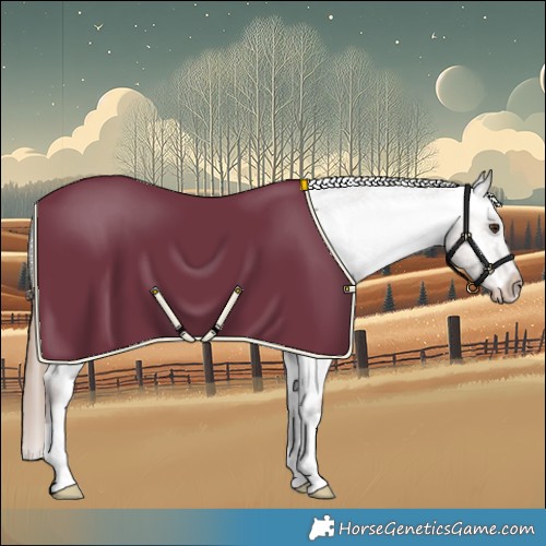 Horse Color:Liver Red Dun Appaloosa Rabicano 