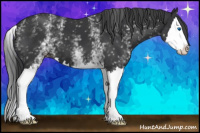 Horse Color:White Spotted Black Splash