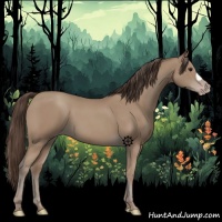 Horse Color:Classic Champagne