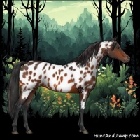 Horse Color:Bay Near Leopard 