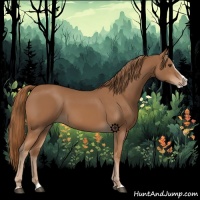 Horse Color:Chestnut Splash 