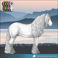 Horse Color:Silver Grullo Sabino 