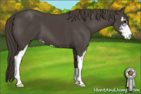 Horse Color:Smoky Black Sabino 