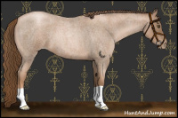 Horse Color:Liver Red Roan Pearl 