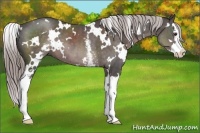 Horse Color:Platinum White Spotted Liver Chestnut Splash 