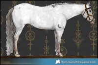 Horse Color:White Spotted Liver Red Roan Snowcap 