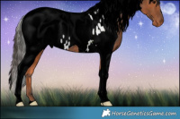 Horse Color:ERROR: UNKNOWN ANOMALY