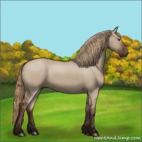 Horse Color:Liver Red Dun 