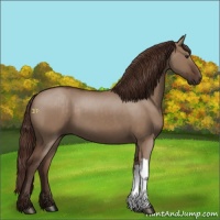 Horse Color:Liver Red Dun 