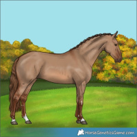 Horse Color:Red Dun 