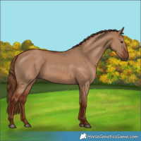 Horse Color:Red Dun 