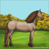Horse Color:Red Dun 