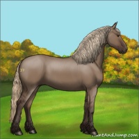 Horse Color:Liver Red Dun 