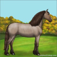Horse Color:Liver Red Dun Roan 