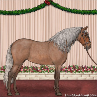 Horse Color:Silver Bay Roan