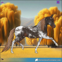 Horse Color:Liver Chestnut Tobiano 
